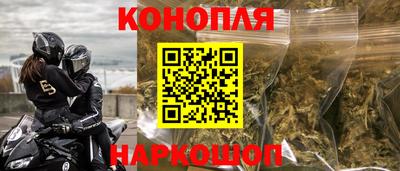 прущие грибы Мариинск