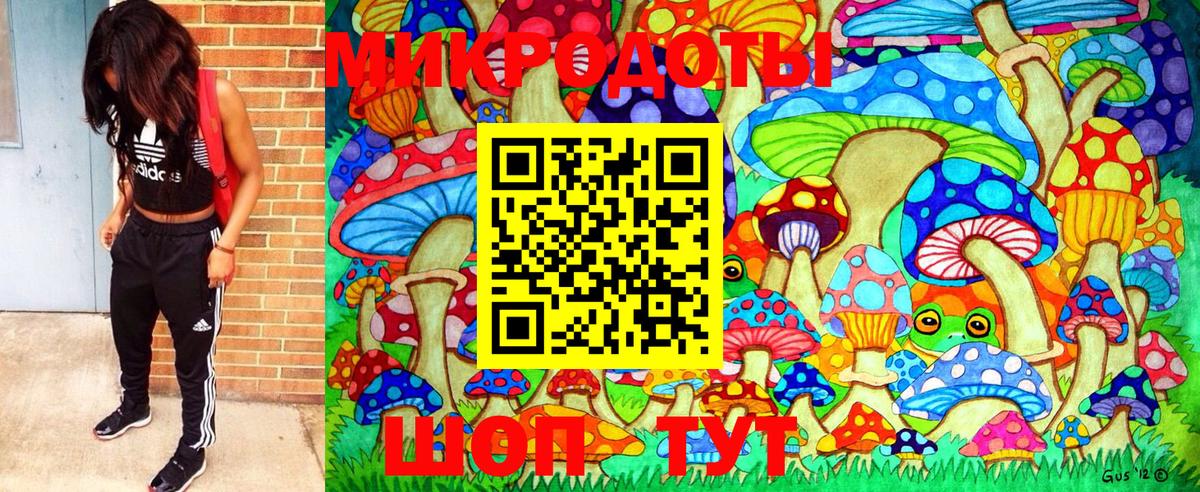 закладки  Псилоцибиновые грибы Psilocybe  Вход с VPN  Псилоцибиновые грибы Psilocybe  Вышний Волочёк 
