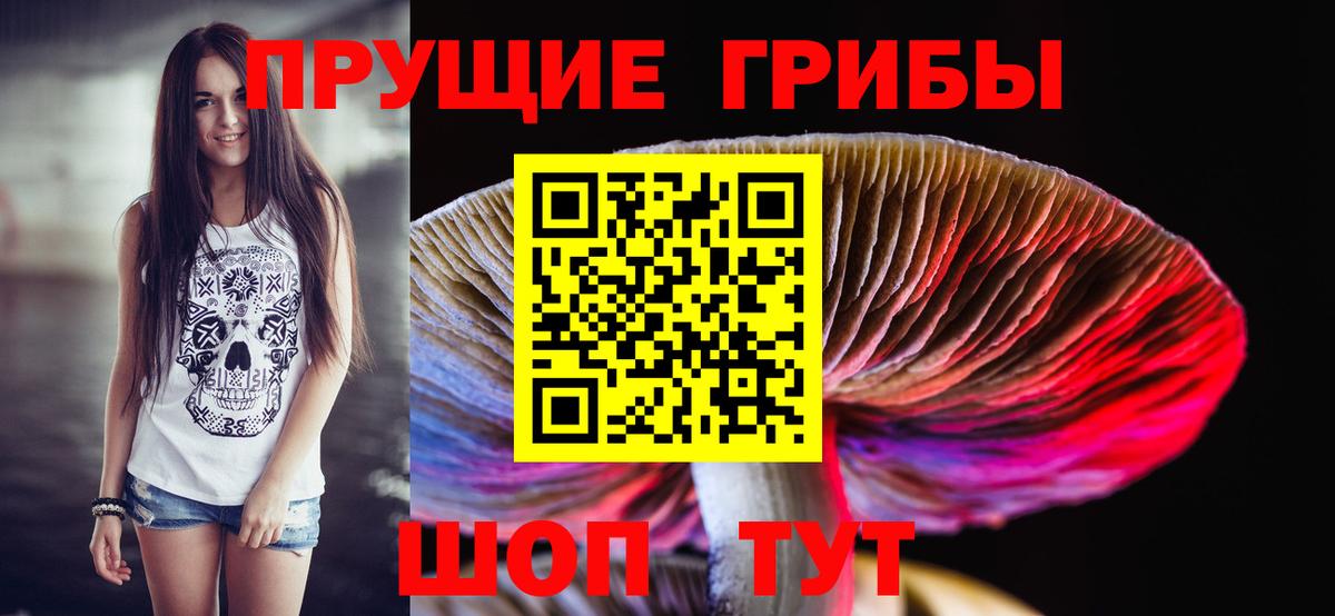 Псилоцибиновые грибы Cubensis Вышний Волочёк